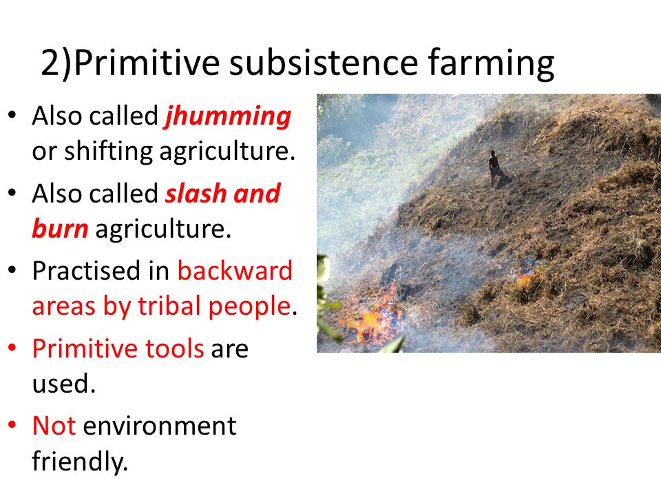 Environment/Labor-Intensive Subsistence term paper 17805